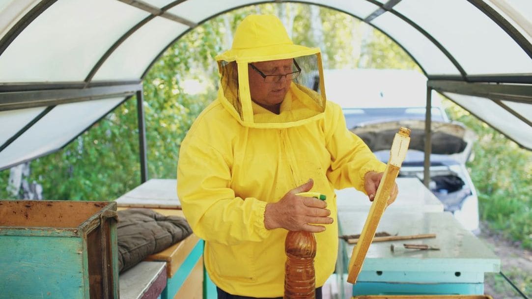 Honeypot Harvest 14