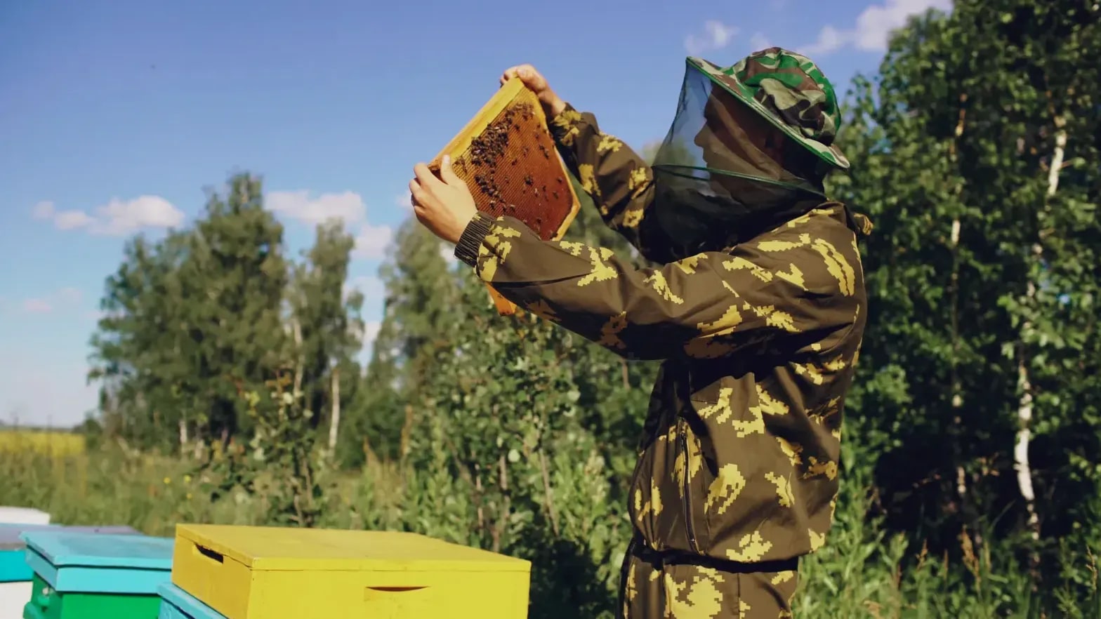 Honeypot Harvest