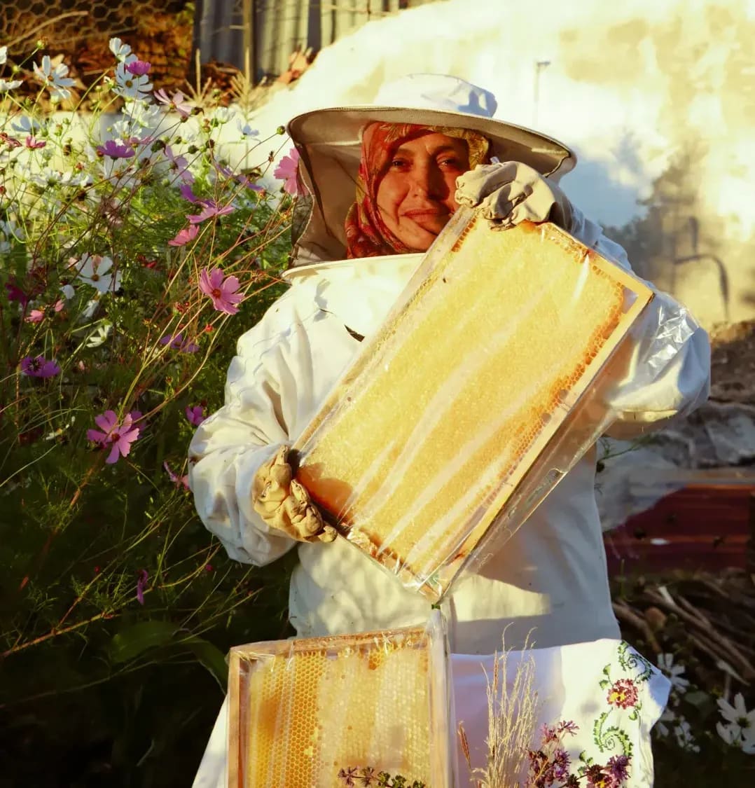Honeypot Harvest